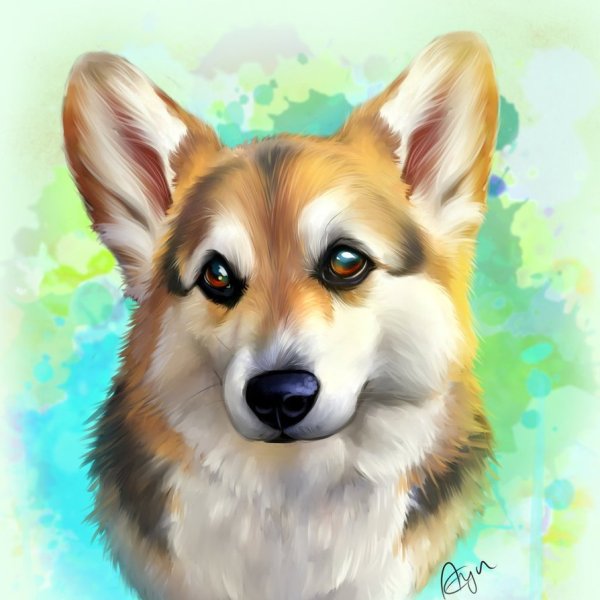 Вельш корги арт