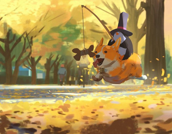 Ахегаю корги