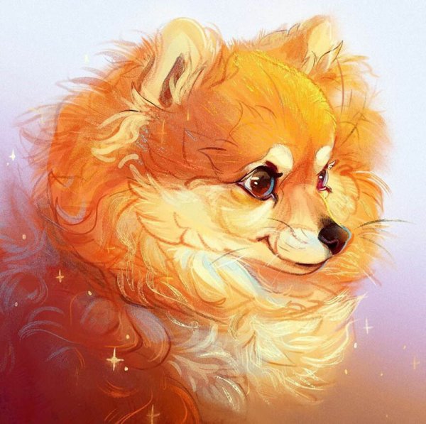 Девушка со шпицем арт