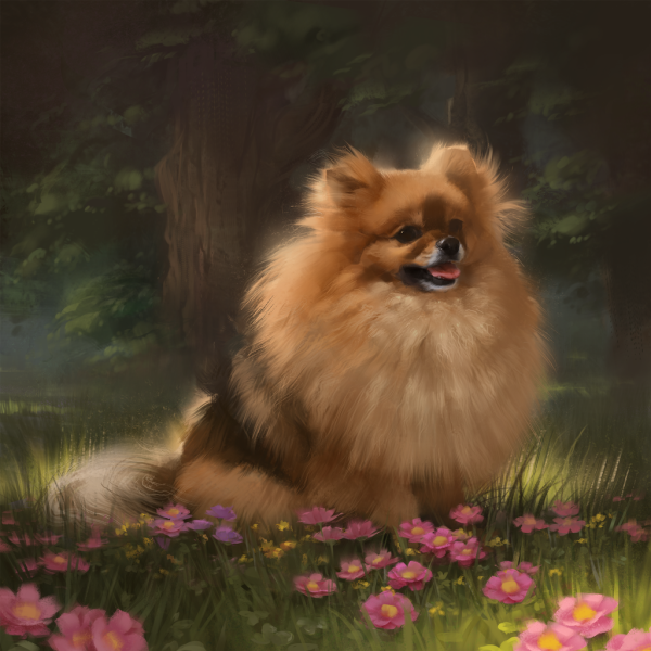 Алмазная живопись шпиц