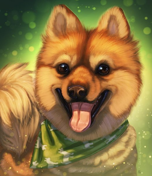 Собака шпиц арты