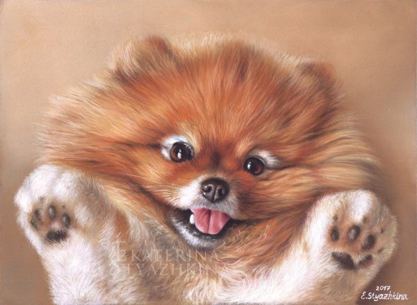 Милые животные пастель