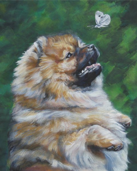 Картины померанского шпица