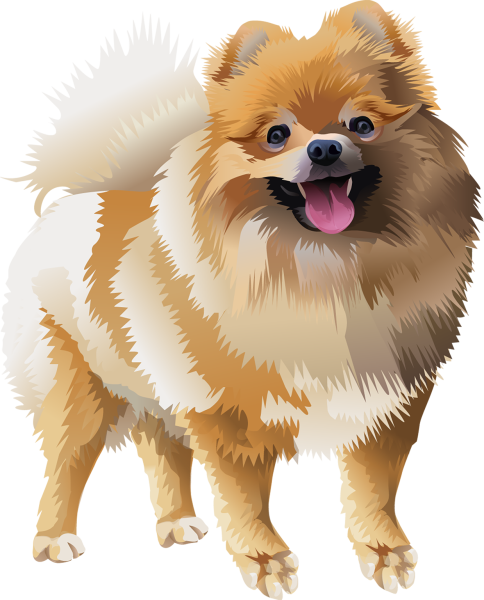 CARTOONIZEMYPET шпиц