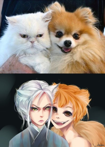 Животные в виде людей