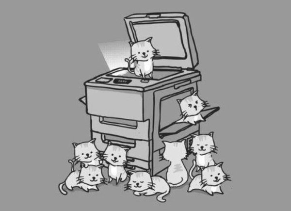 Котик для принтера