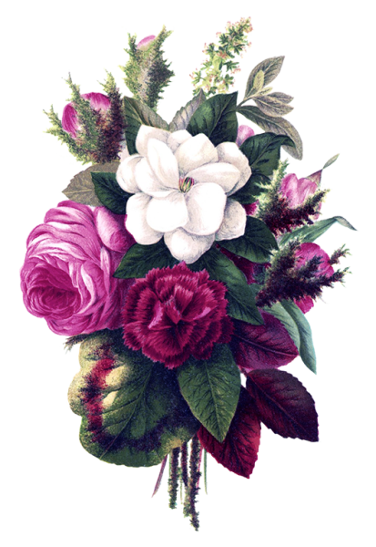 Букет цветов иллюстрация