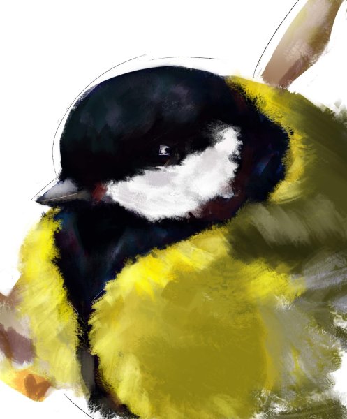 Синицы арты