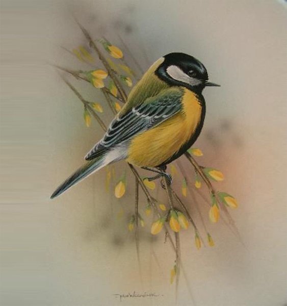 Художник Jan Weenink