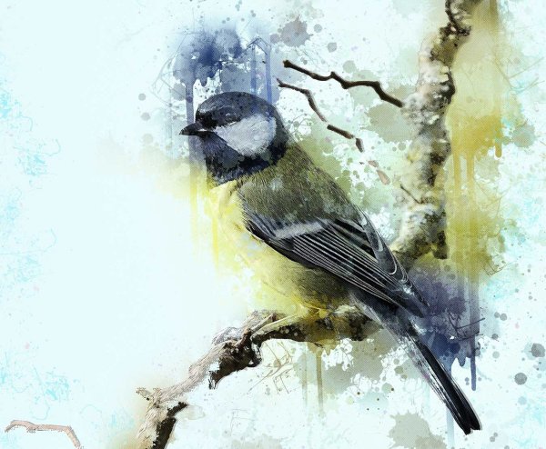 Синичка арт