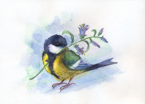 Синичка арт