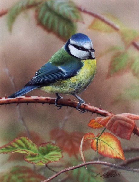 Синичка арт