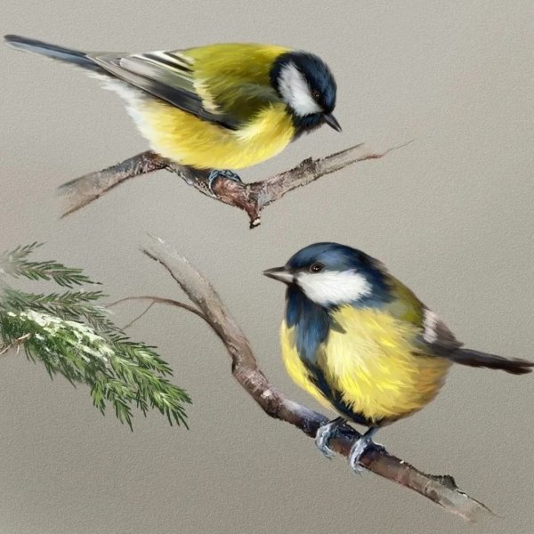 Агния Барто синичка