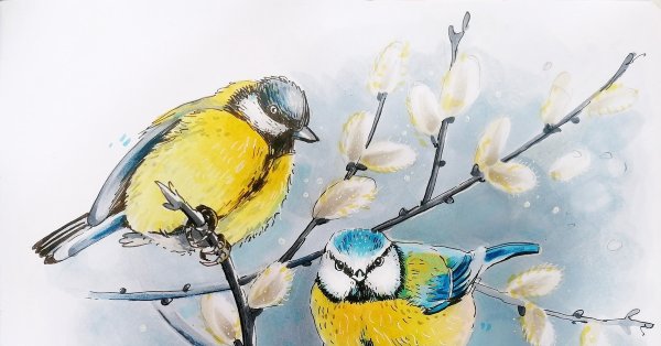 Синичка акварелью