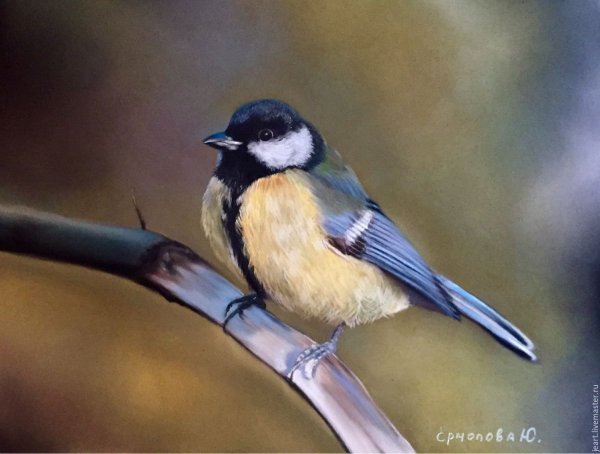 Плюшевая синица