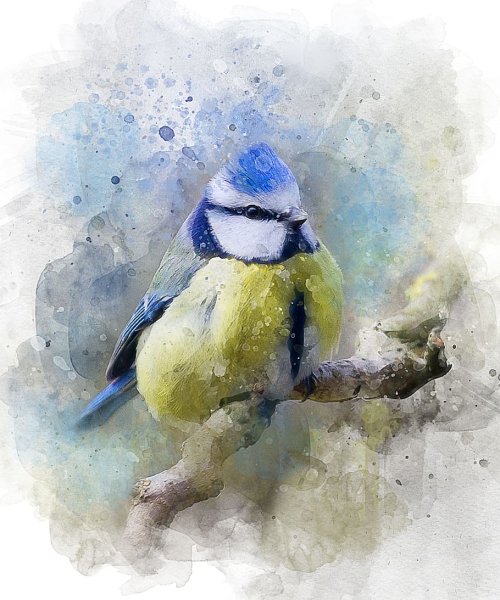 Акварельные синички