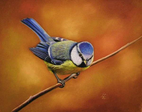 Синица пастелью