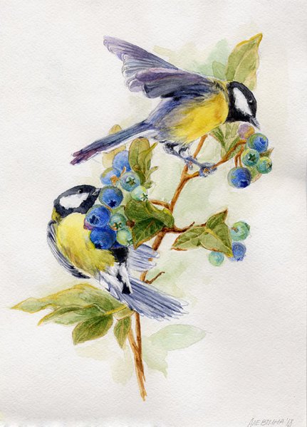 Акварельные синички