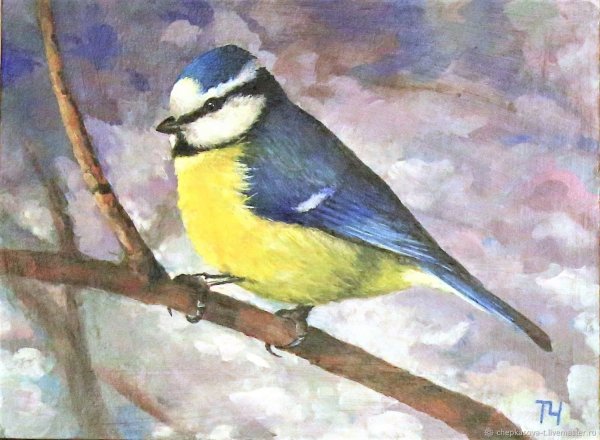 Картина синица для детей