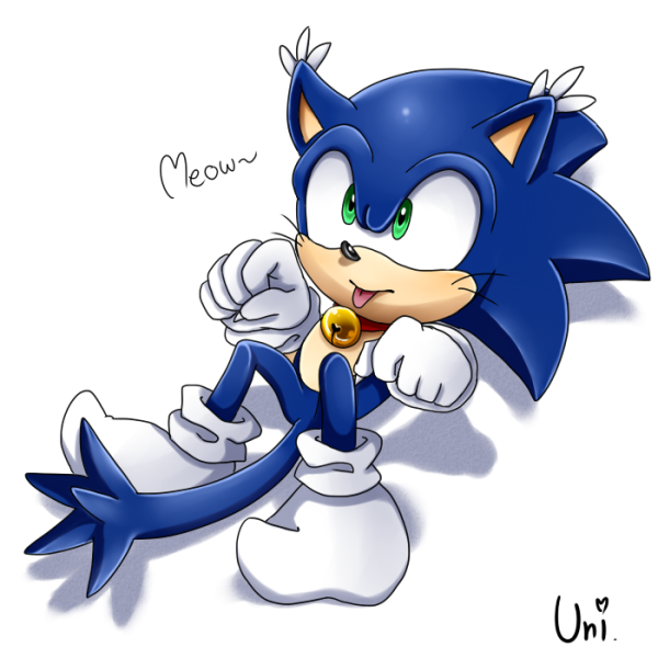 Соник и Шедоу коты