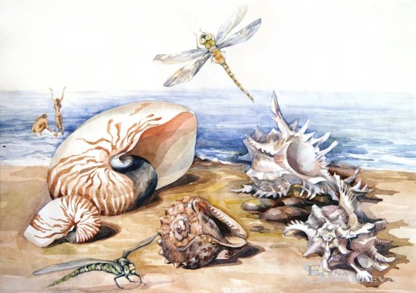 Морские иллюстрации