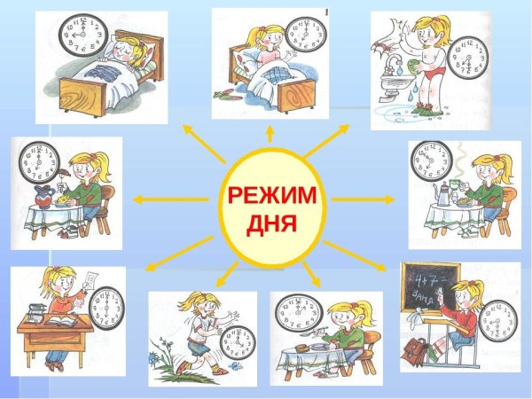 Распорядок дня