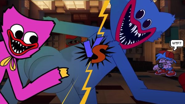 Ваги ваги киси МИСИ