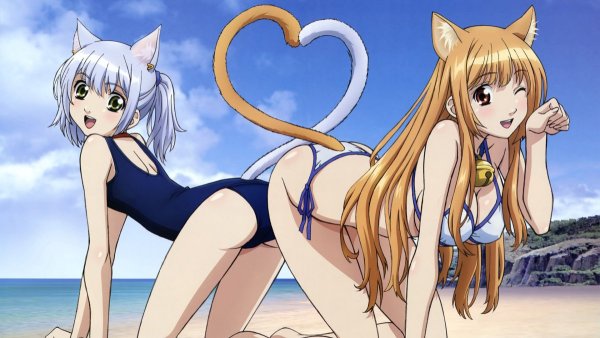 Аниме Asobi ni Iku