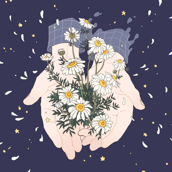 Ромашки арт