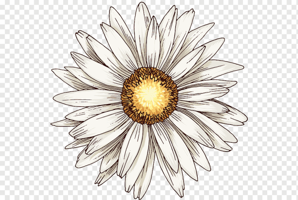 Ромашка стилизованная