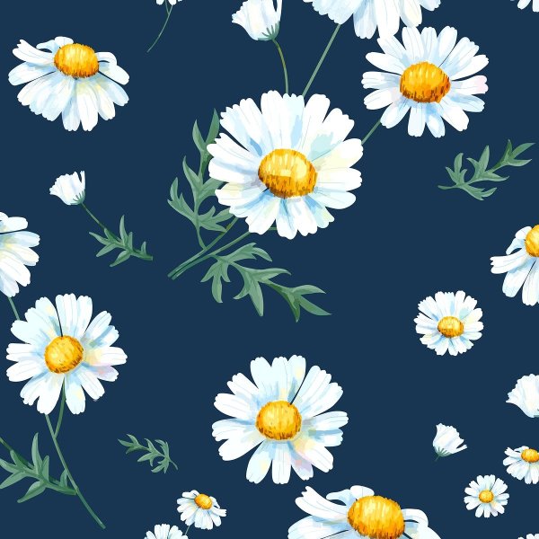 Ромашки Дейзи Флауэр