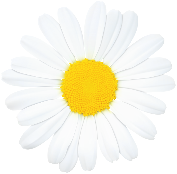 Ромашка для детей