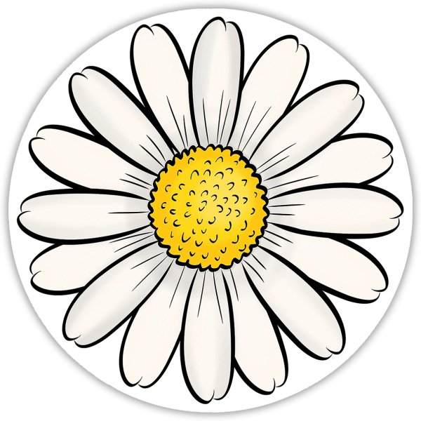 Ромашка рисунок