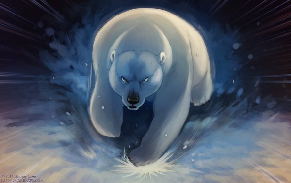 Белый медведь арты