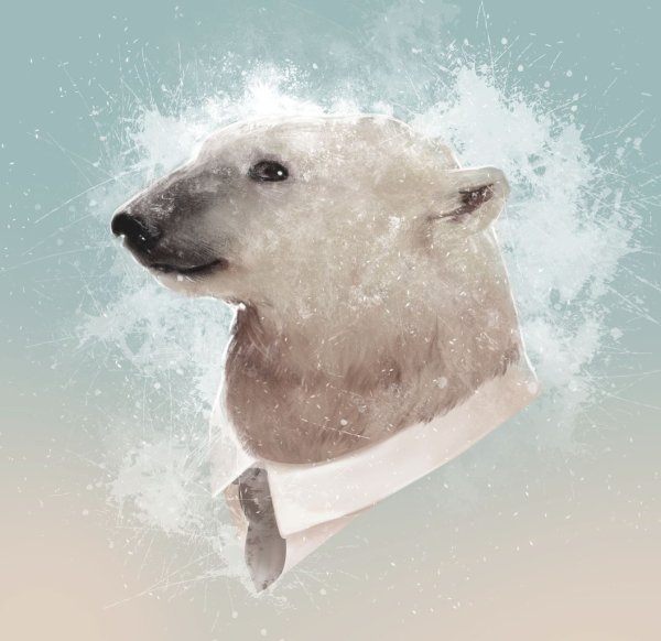 Белый медведь арты