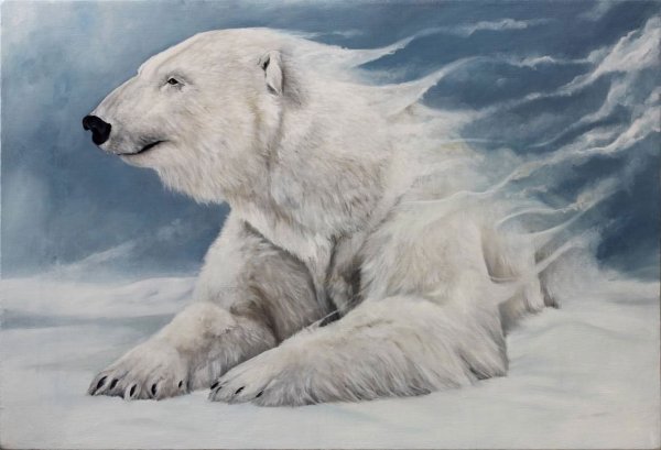 Бруно Августо «белый медведь»