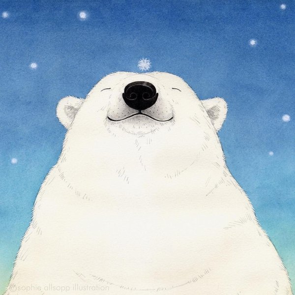 Белый медведь иллюстрация
