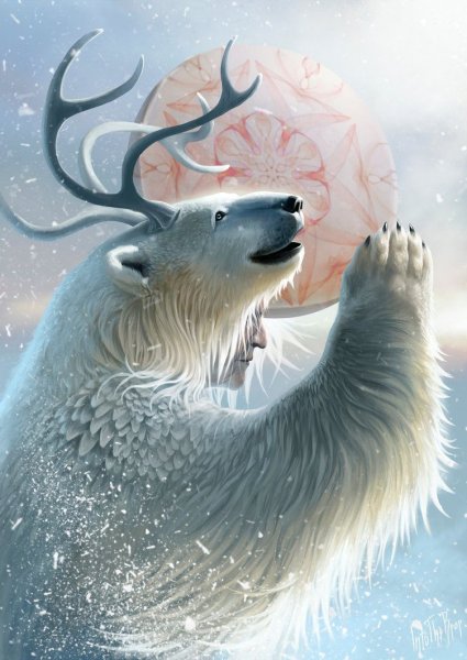 Белый медведь арты