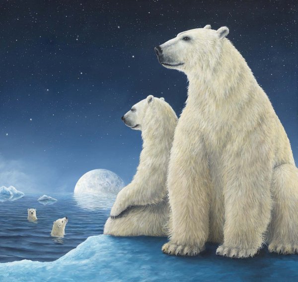 Robert Bissell Роберт Бисселл белые медведи