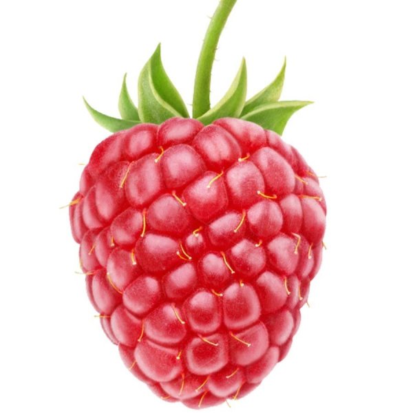 Ягода малина на белом фоне