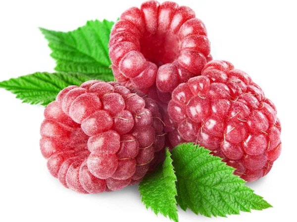 Малина на прозрачном фоне