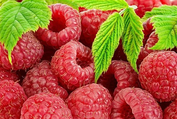 Малина 1 ягода