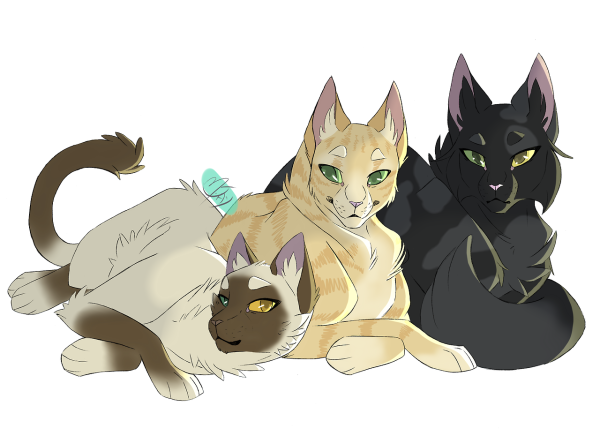 Marymsjay-Warriors-Art коты Воители