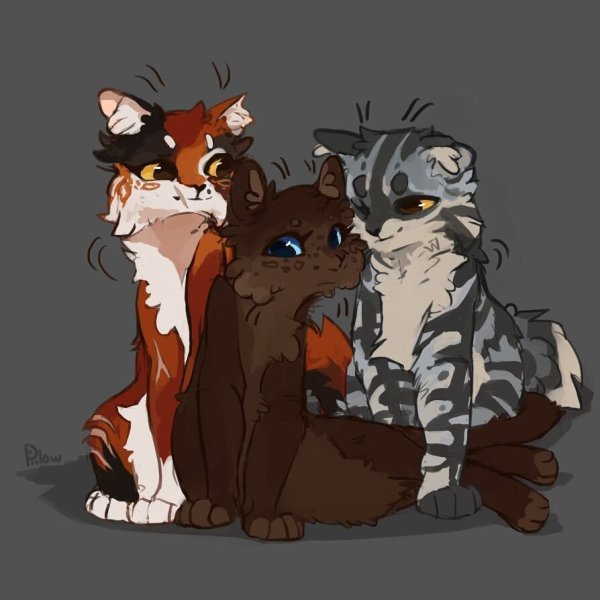 GRAYPILLOW коты Воители