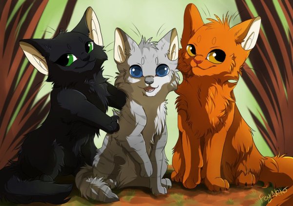 Коты Воители белка и Остролистая