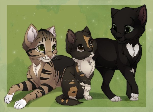 Коты Воители Метеор и Вербовейная