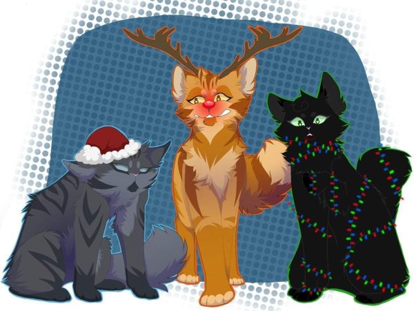 Коты Воители Остролистая и новый год