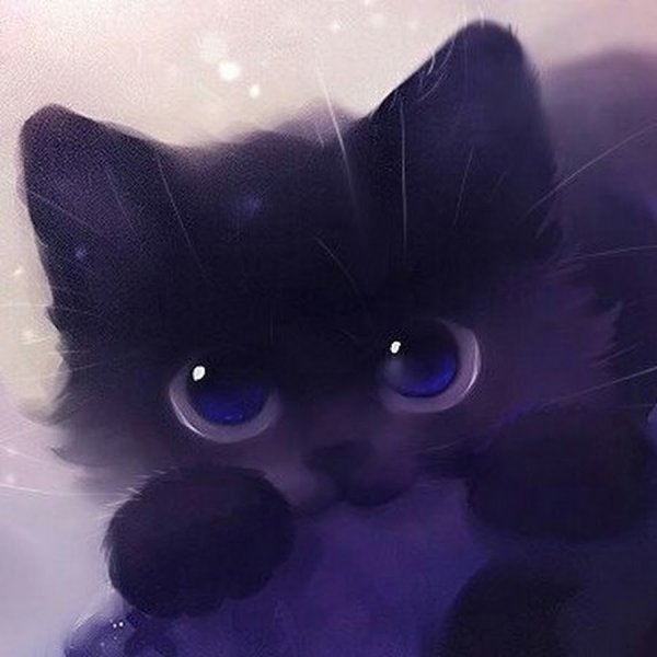 Котики няшки