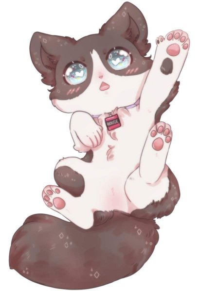 Чиби котики