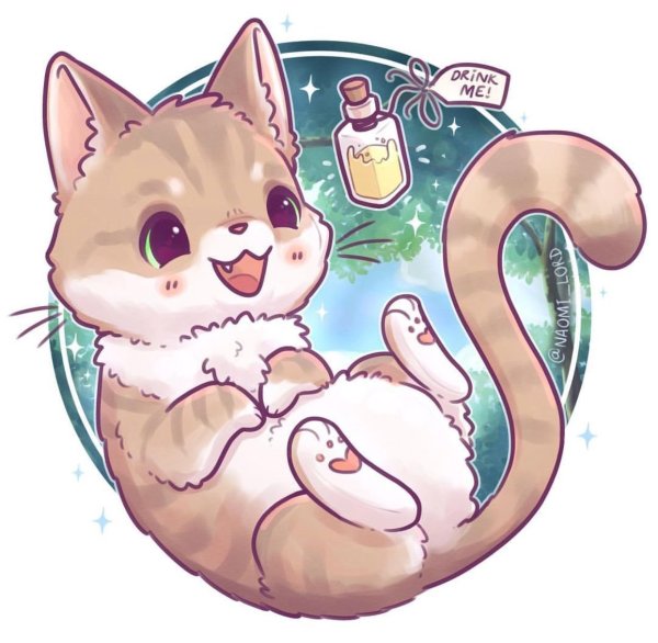 Наоми Лорд котики